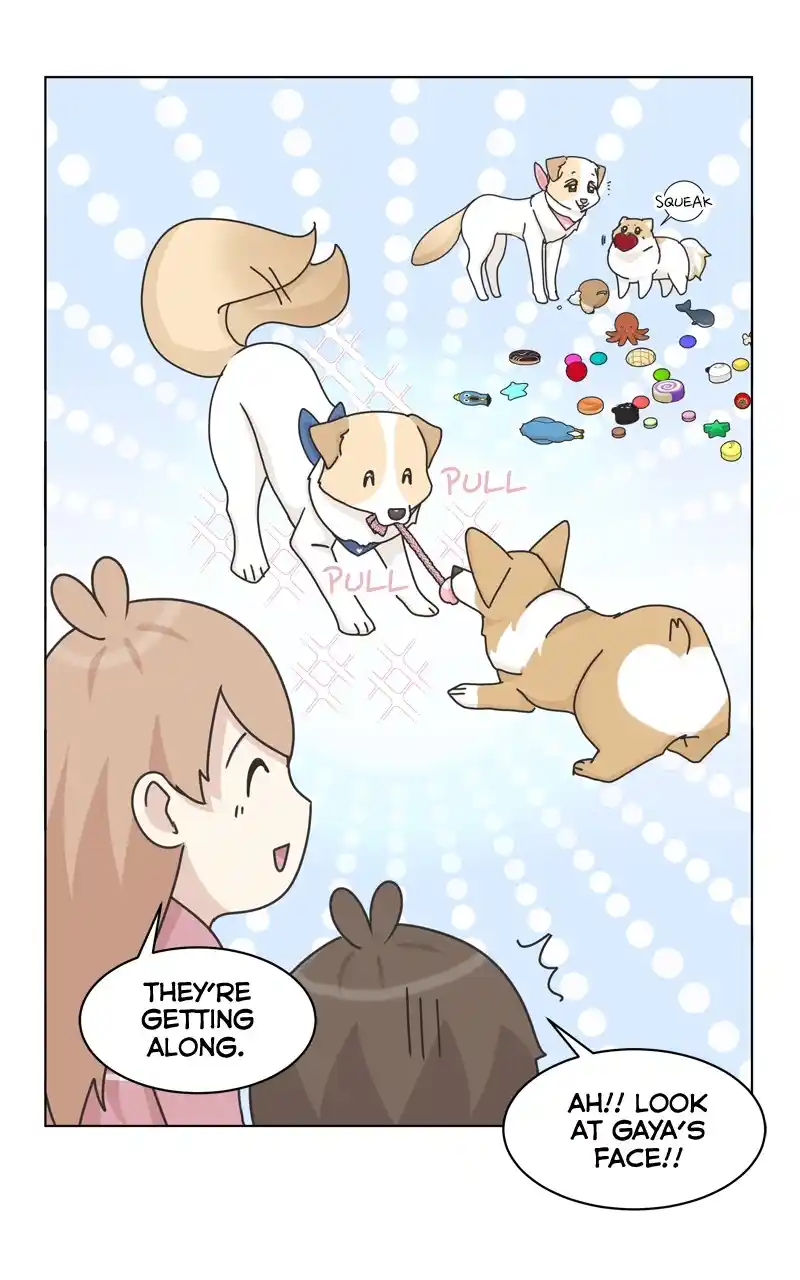The Dog Diaries Chapter 116
