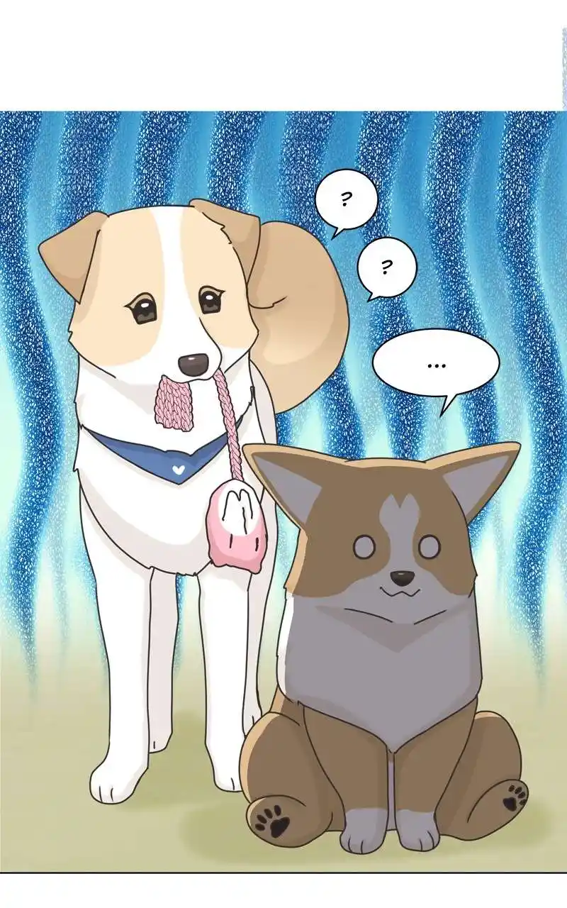 The Dog Diaries Chapter 116