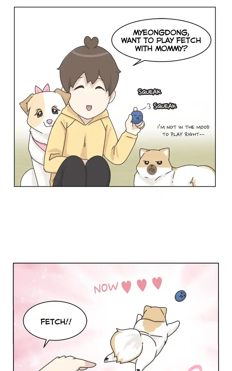 The Dog Diaries Chapter 116