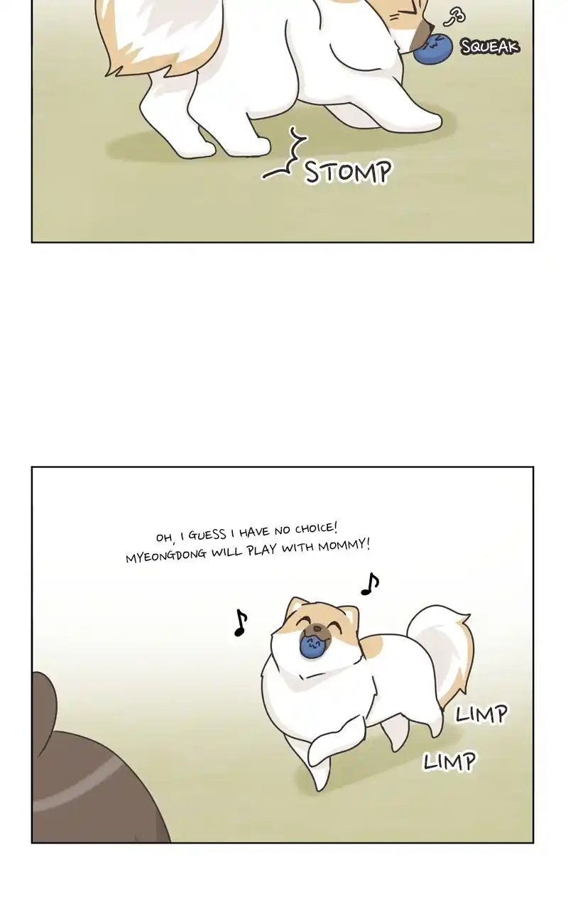 The Dog Diaries Chapter 116