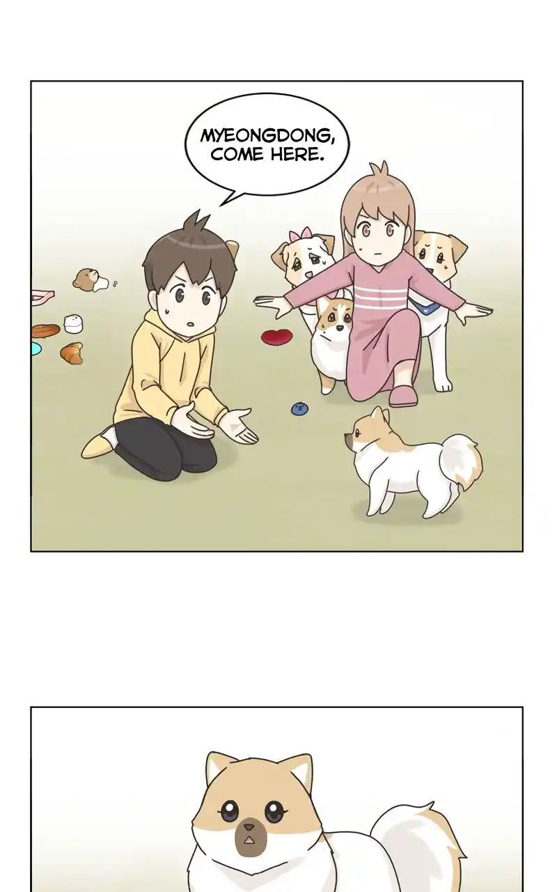 The Dog Diaries Chapter 116