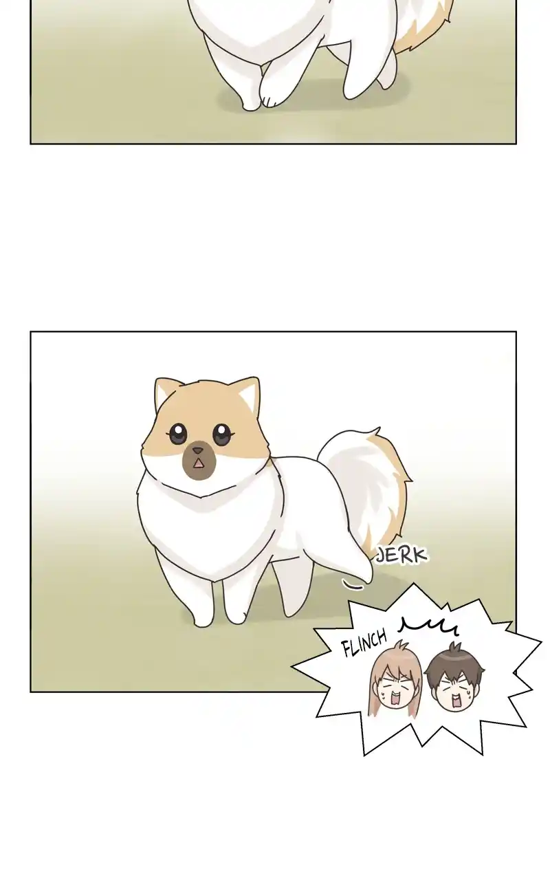 The Dog Diaries Chapter 116