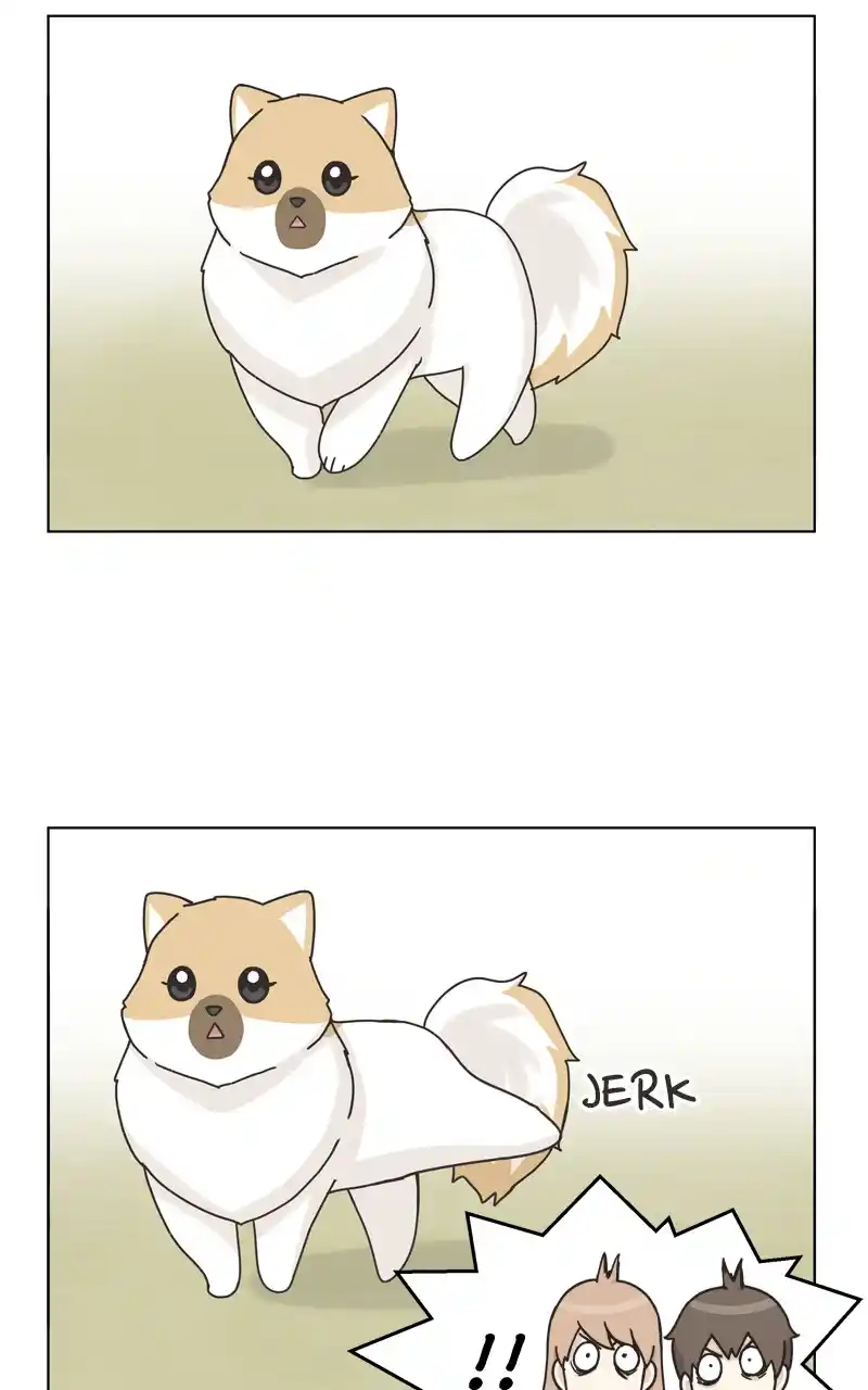 The Dog Diaries Chapter 116