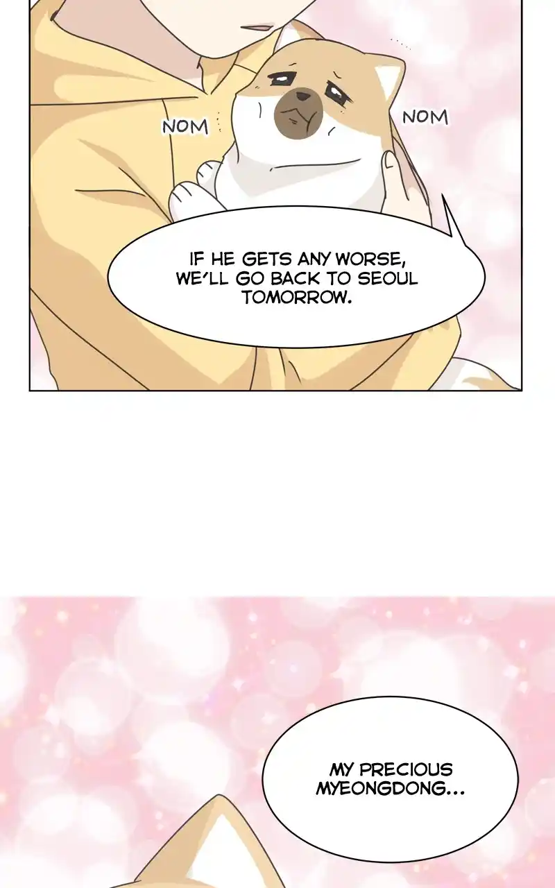 The Dog Diaries Chapter 117