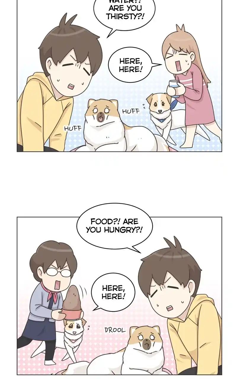 The Dog Diaries Chapter 117