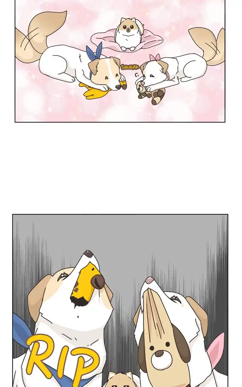 The Dog Diaries Chapter 117