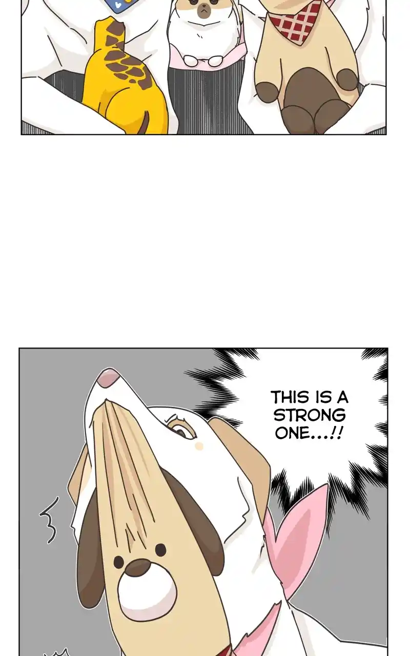 The Dog Diaries Chapter 117