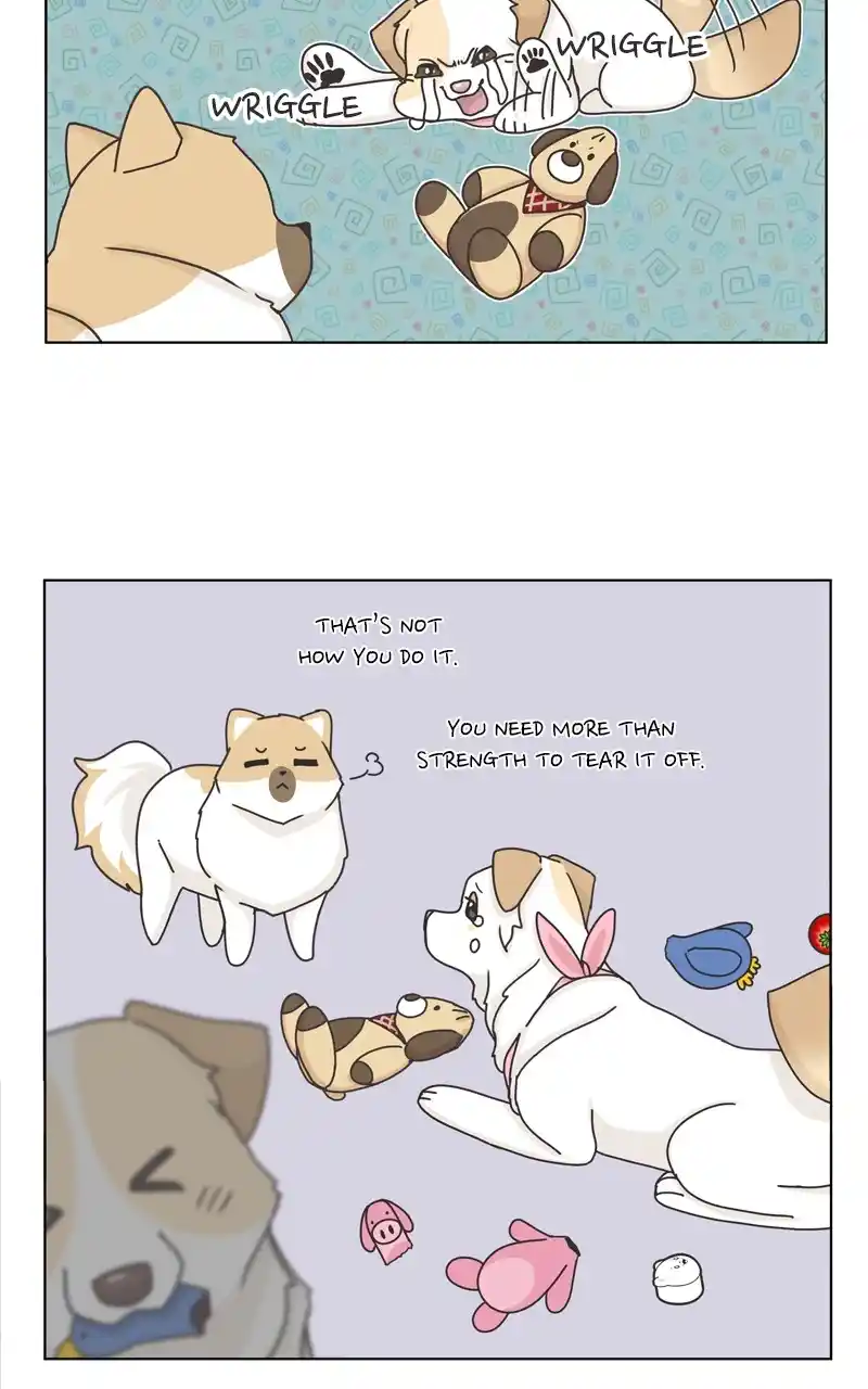 The Dog Diaries Chapter 117