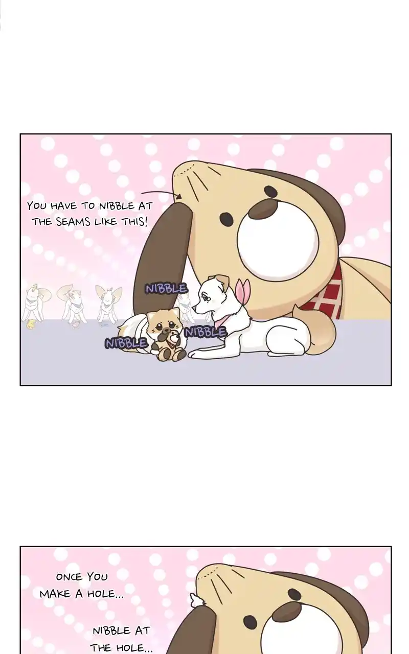 The Dog Diaries Chapter 117