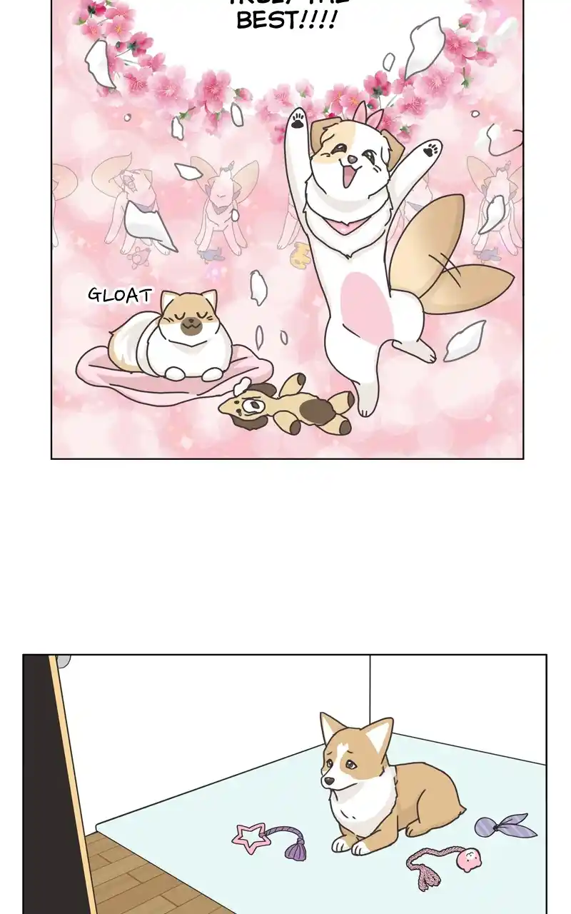 The Dog Diaries Chapter 117