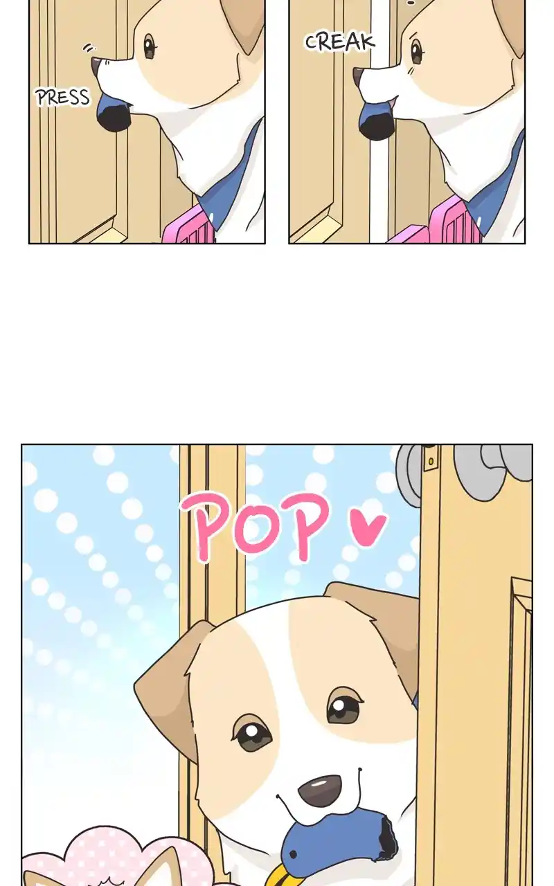 The Dog Diaries Chapter 117