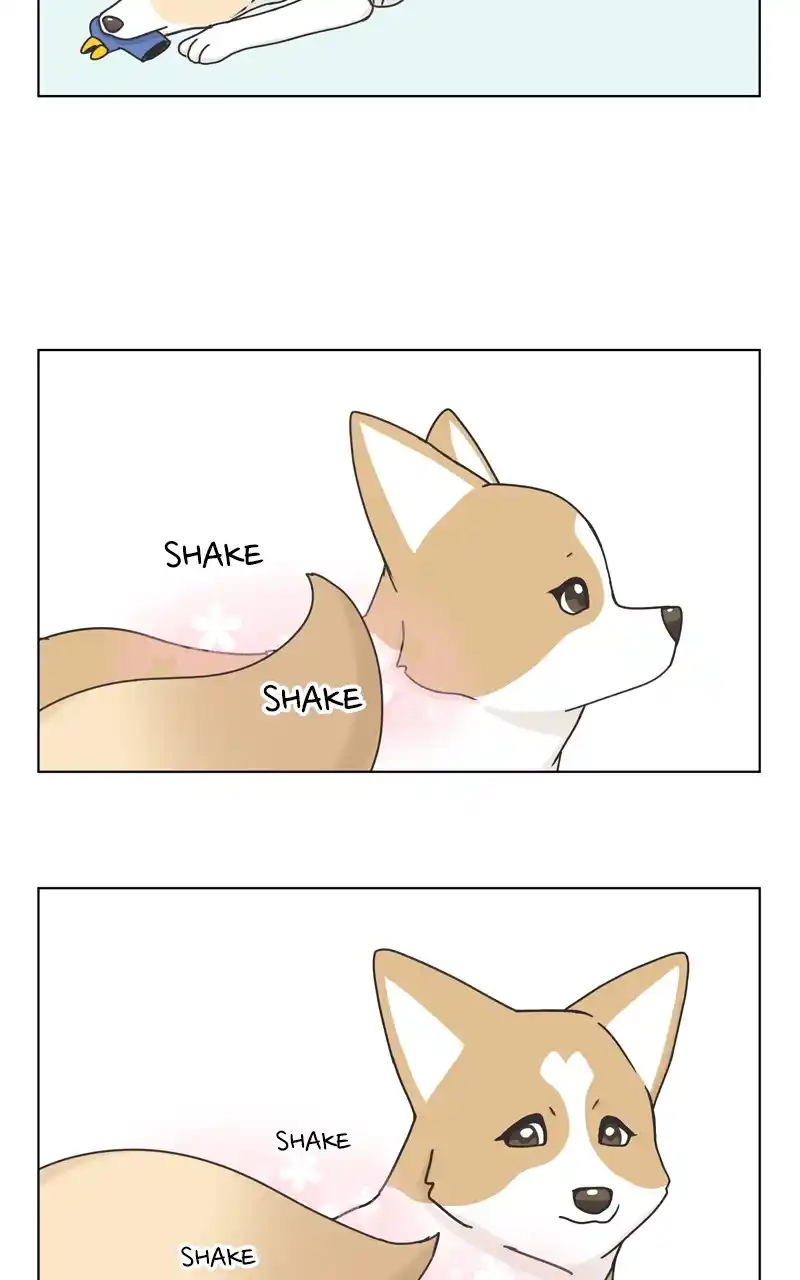 The Dog Diaries Chapter 117