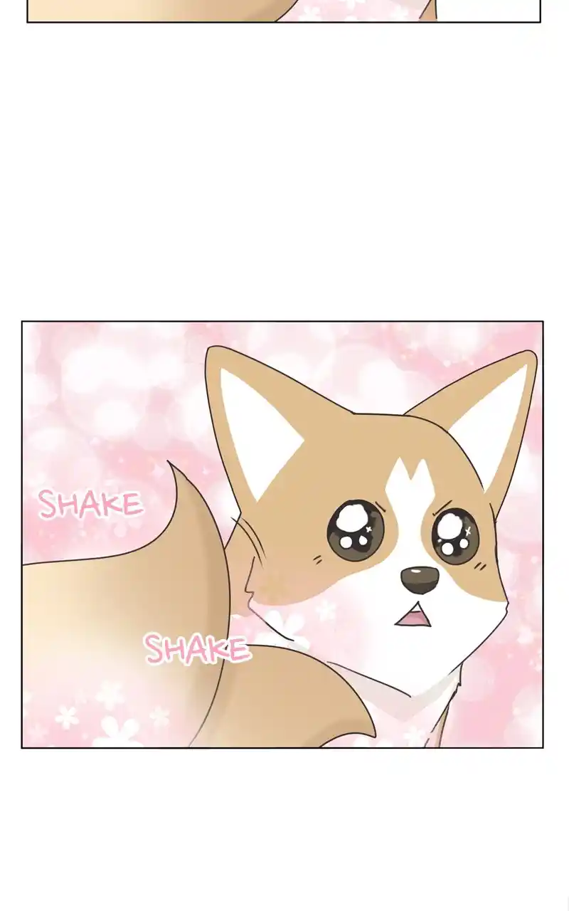 The Dog Diaries Chapter 117