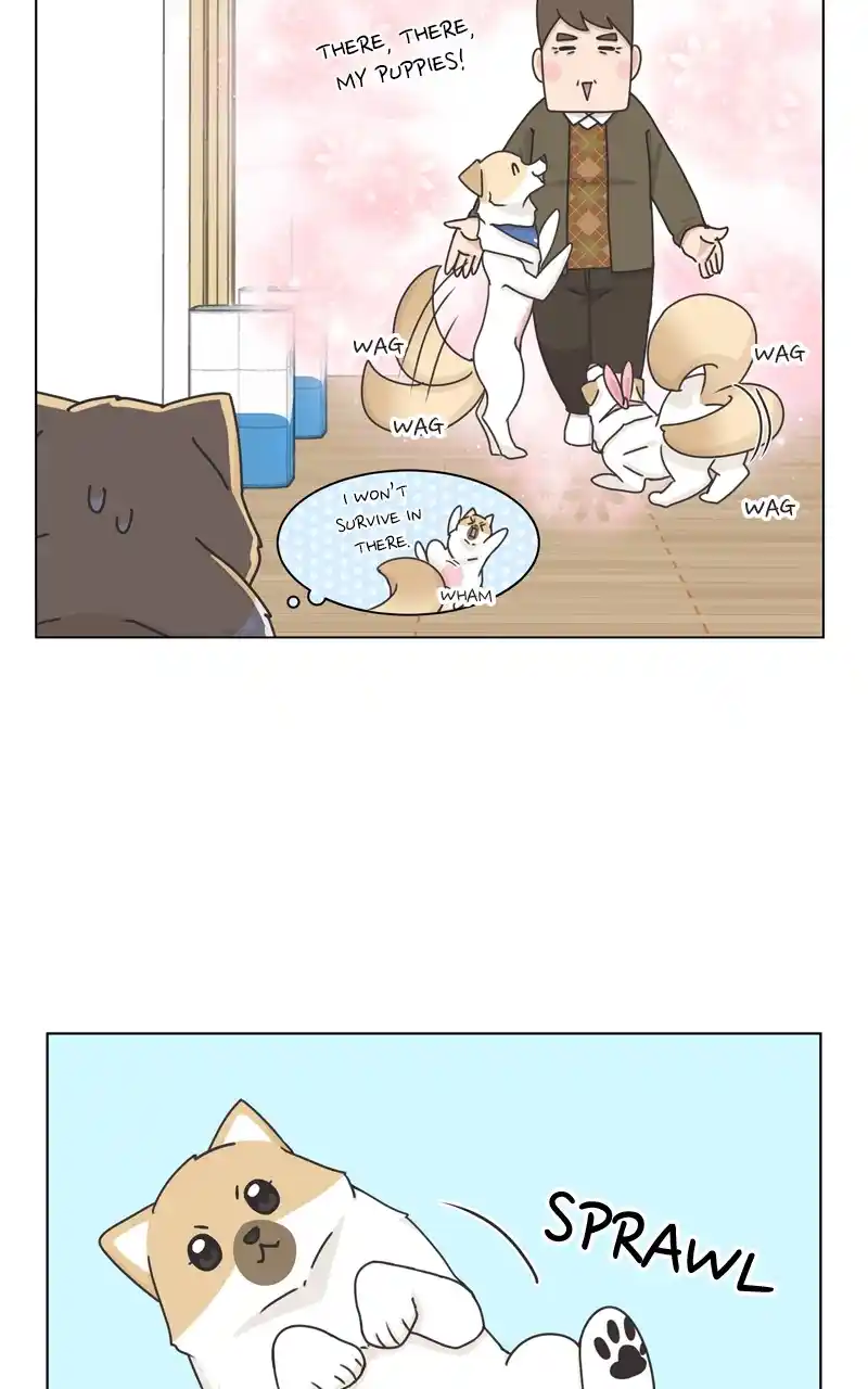 The Dog Diaries Chapter 117