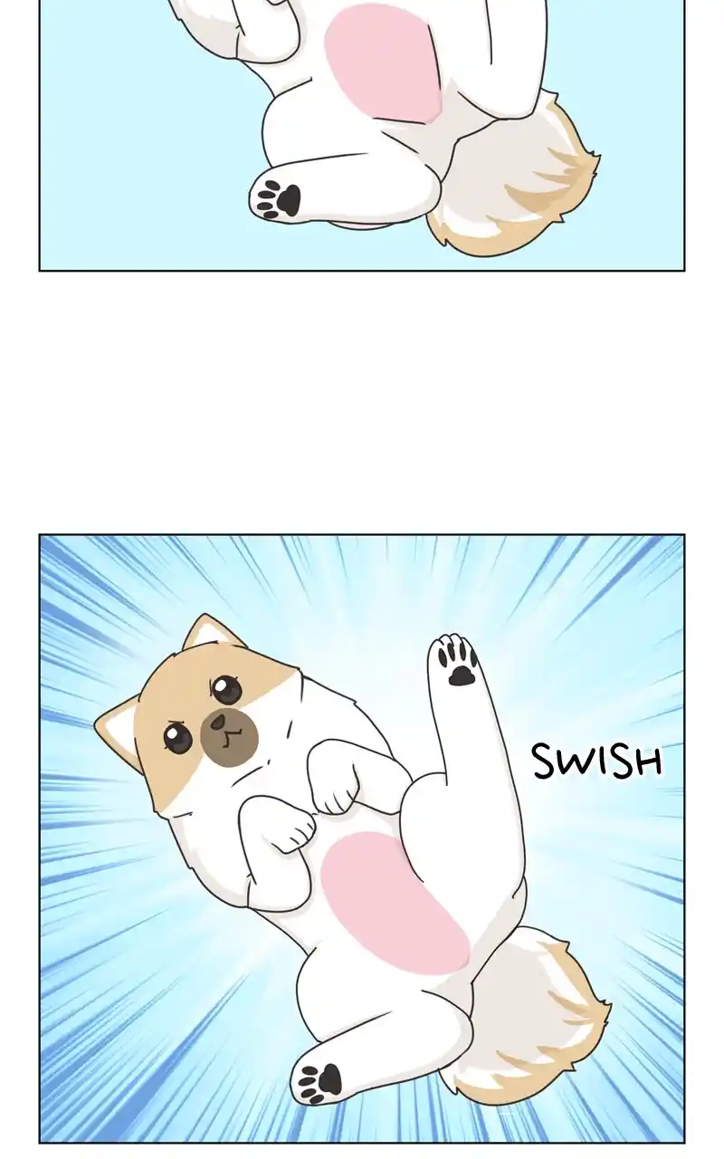 The Dog Diaries Chapter 117