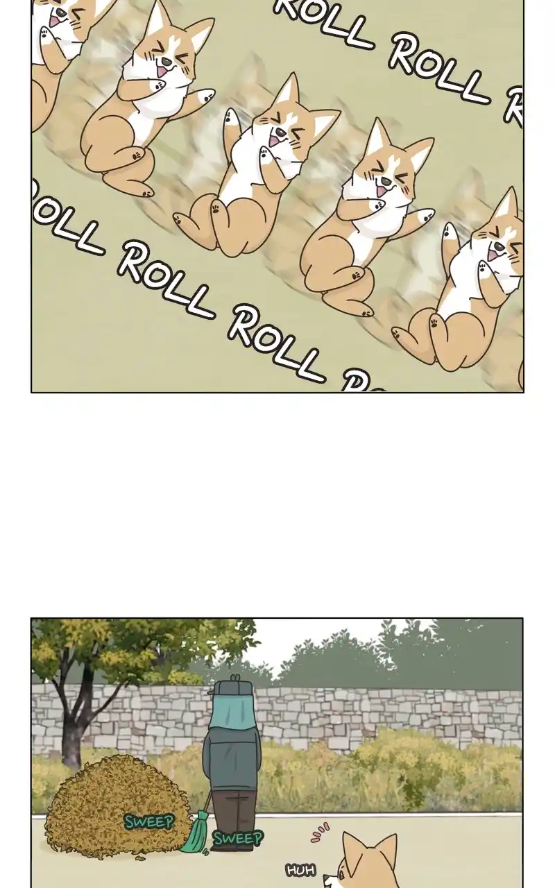 The Dog Diaries Chapter 118