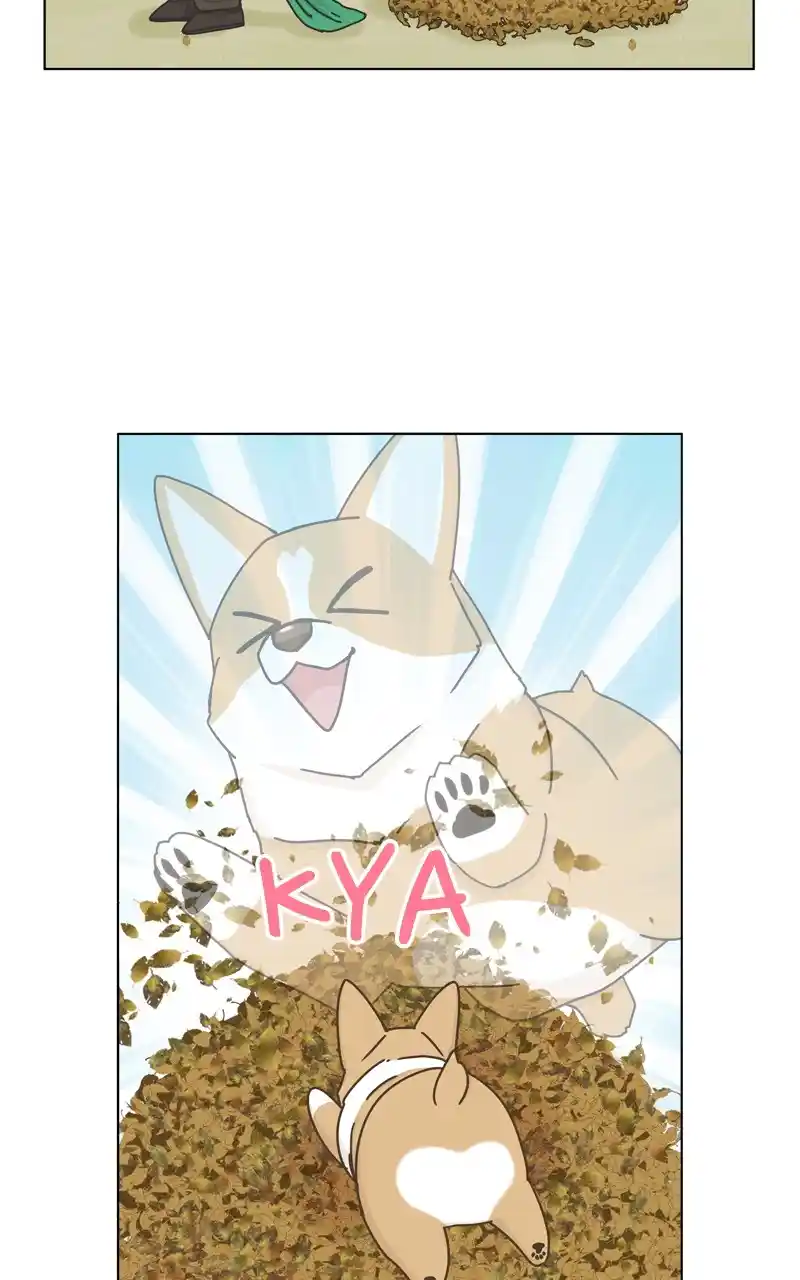 The Dog Diaries Chapter 118