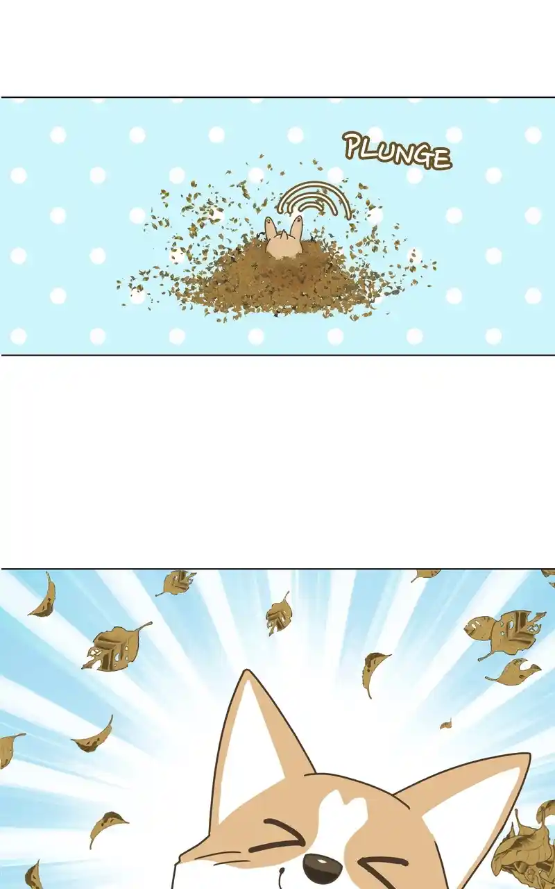 The Dog Diaries Chapter 118