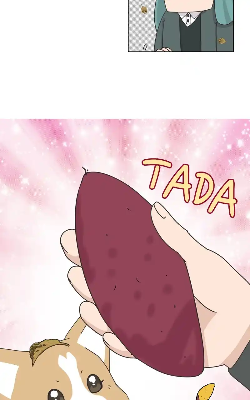 The Dog Diaries Chapter 118