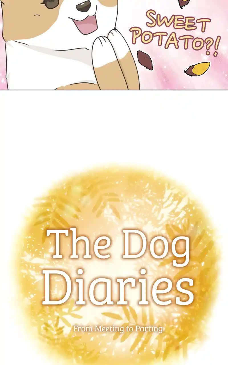 The Dog Diaries Chapter 118
