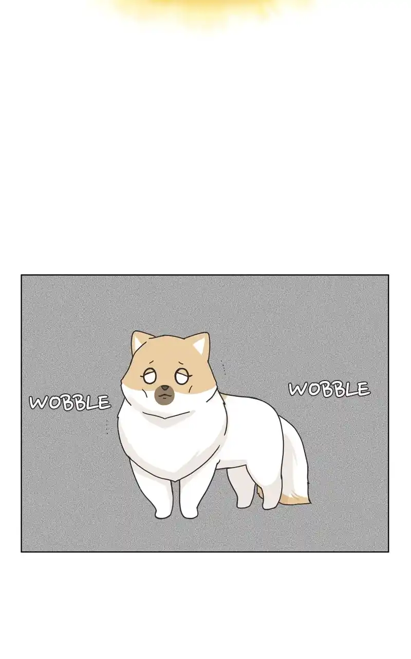 The Dog Diaries Chapter 118