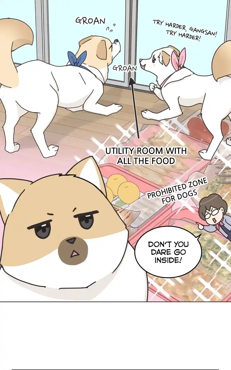 The Dog Diaries Chapter 118