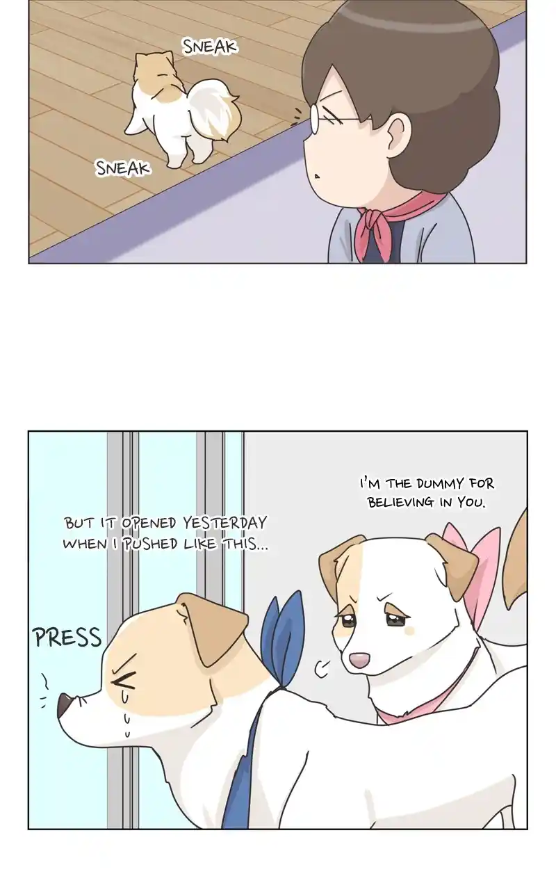 The Dog Diaries Chapter 118