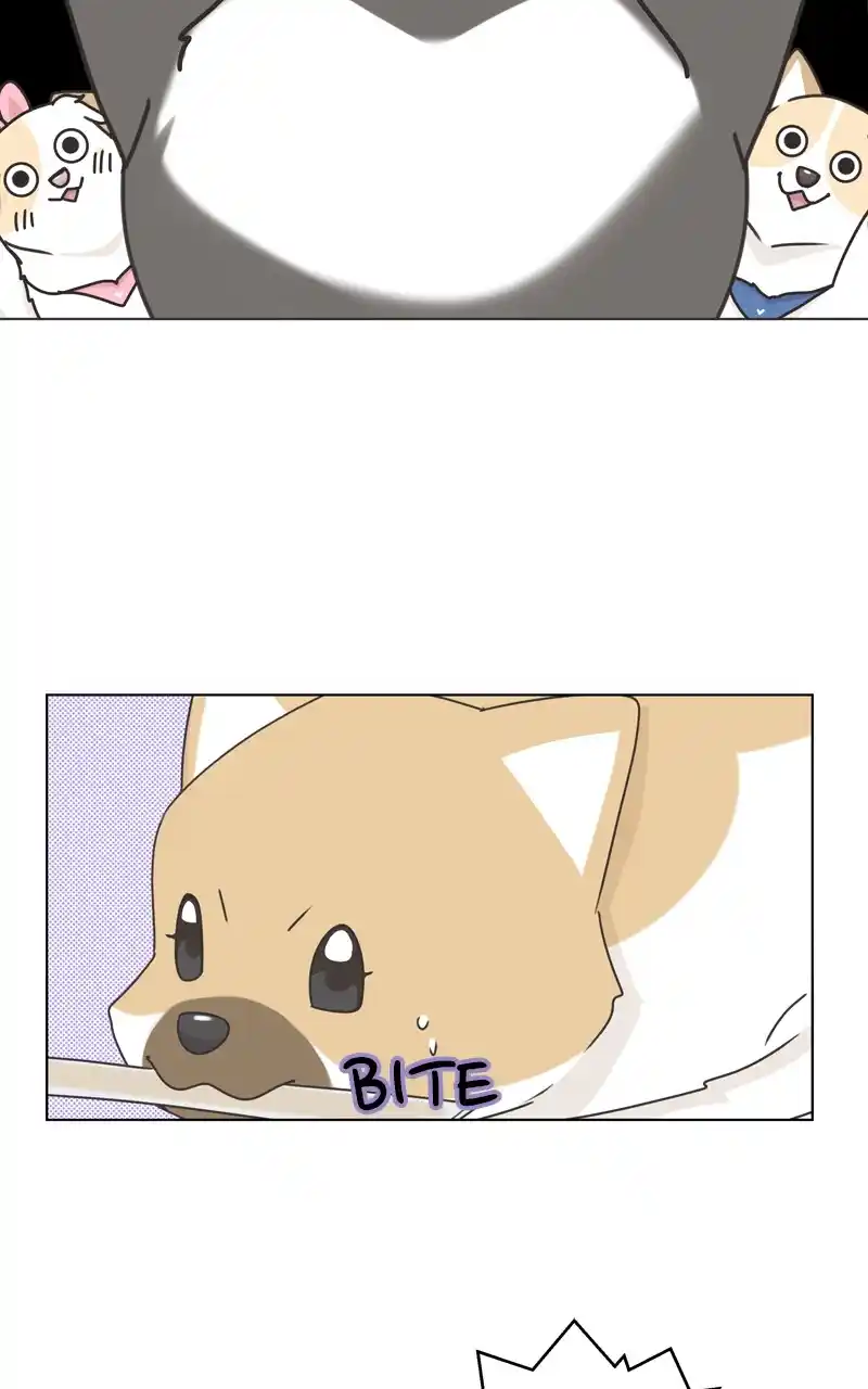 The Dog Diaries Chapter 118