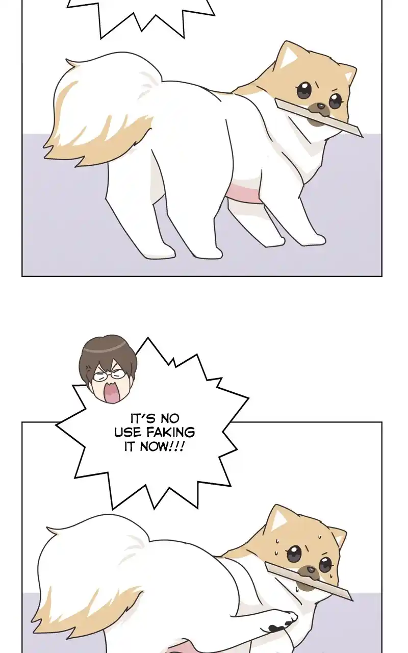 The Dog Diaries Chapter 118