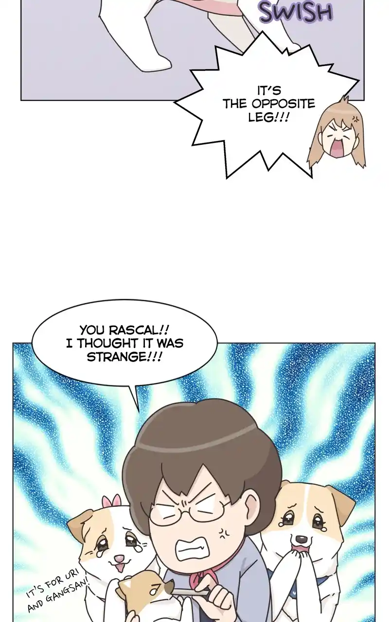 The Dog Diaries Chapter 118