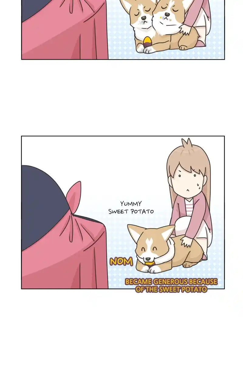 The Dog Diaries Chapter 118