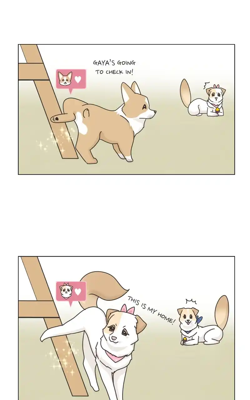 The Dog Diaries Chapter 118