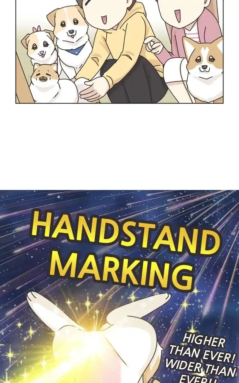 The Dog Diaries Chapter 118