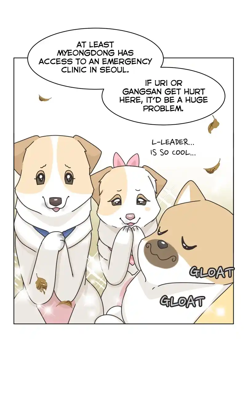 The Dog Diaries Chapter 118