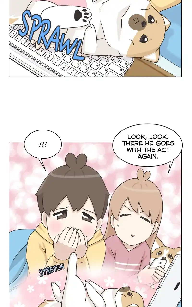 The Dog Diaries Chapter 119