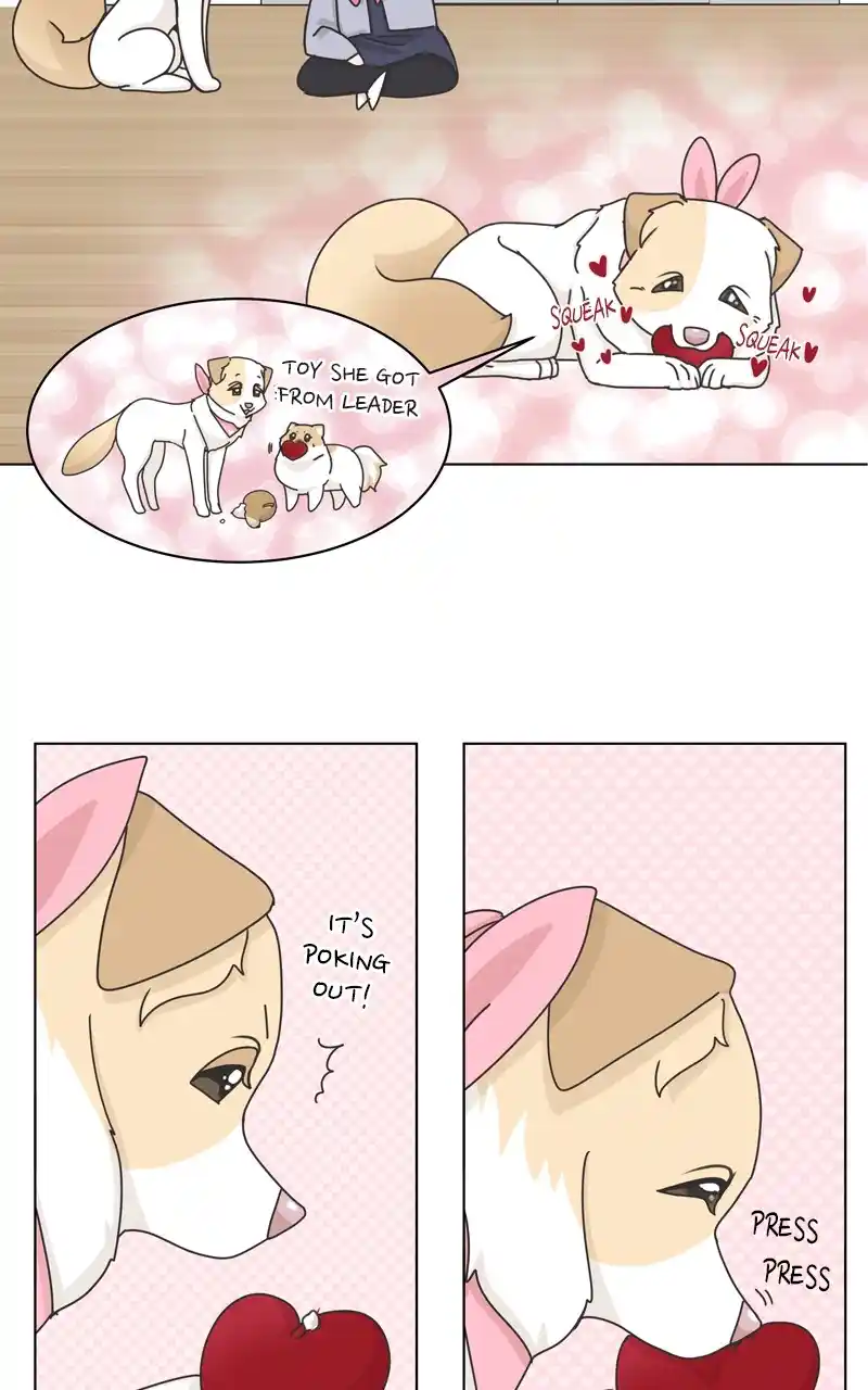 The Dog Diaries Chapter 119