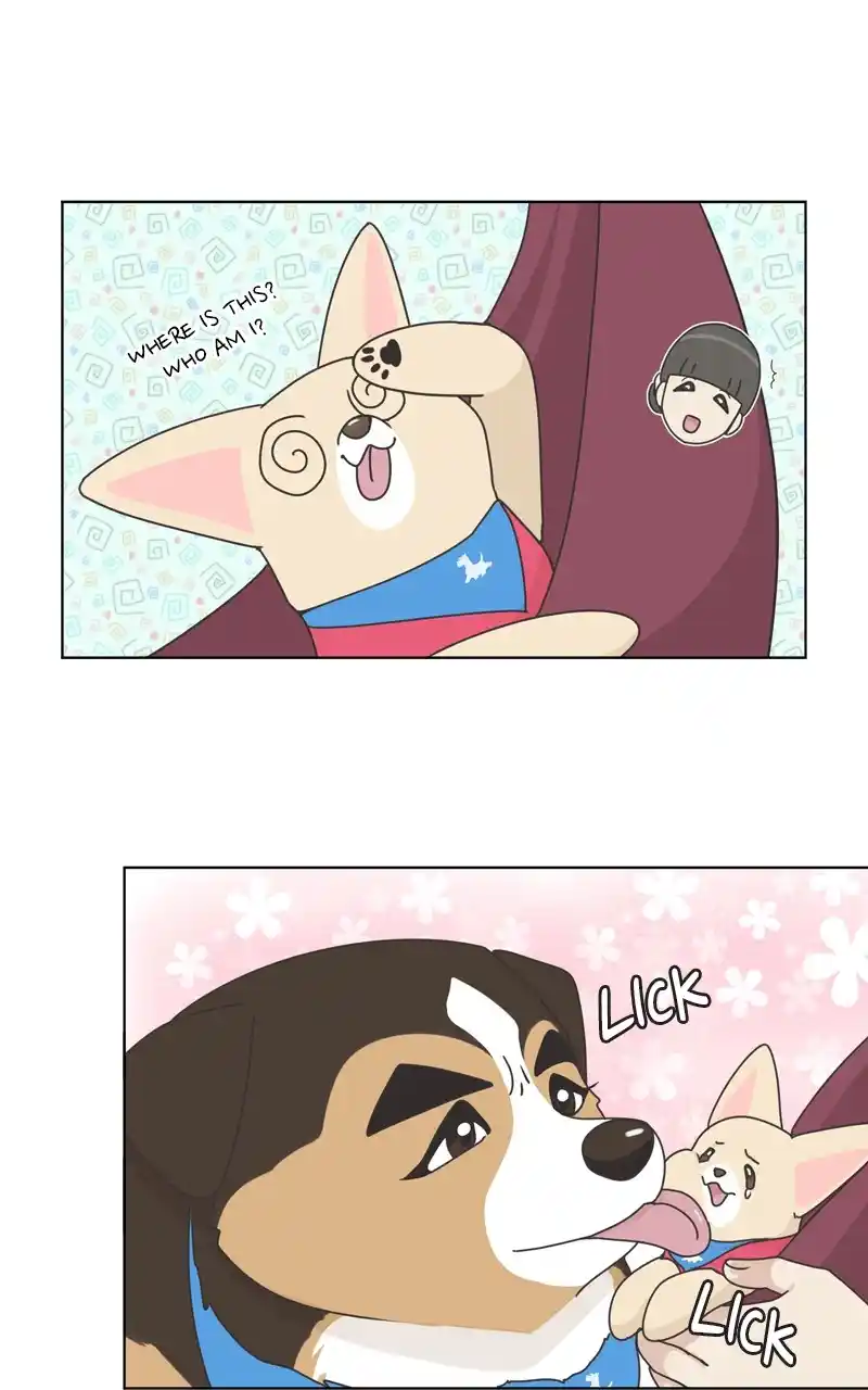 The Dog Diaries Chapter 119