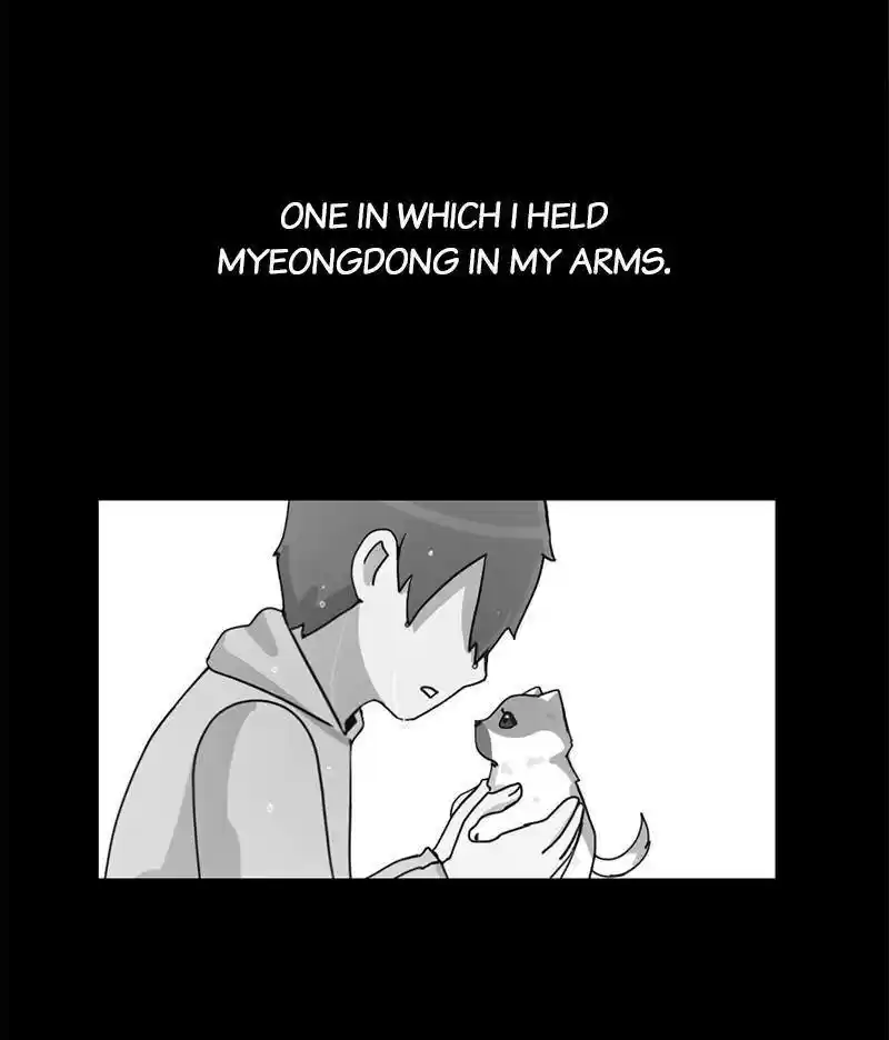 The Dog Diaries Chapter 12