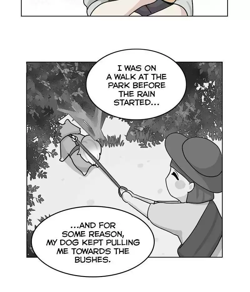 The Dog Diaries Chapter 12