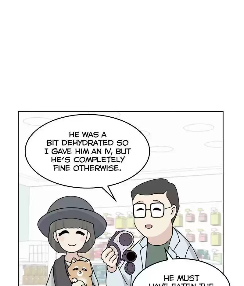 The Dog Diaries Chapter 12