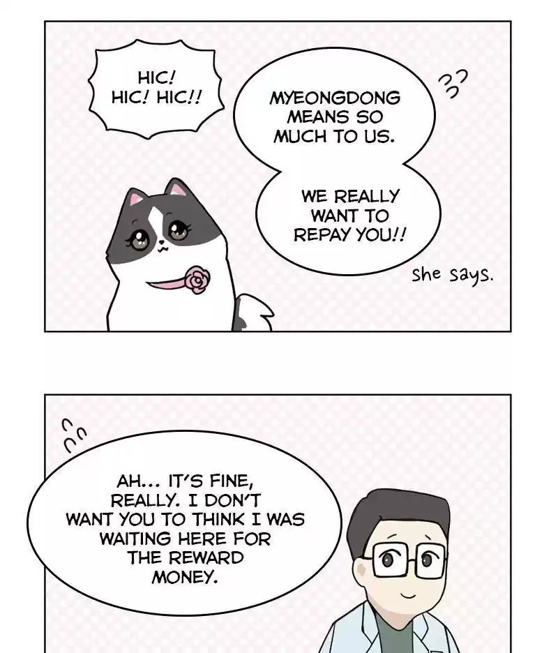 The Dog Diaries Chapter 12