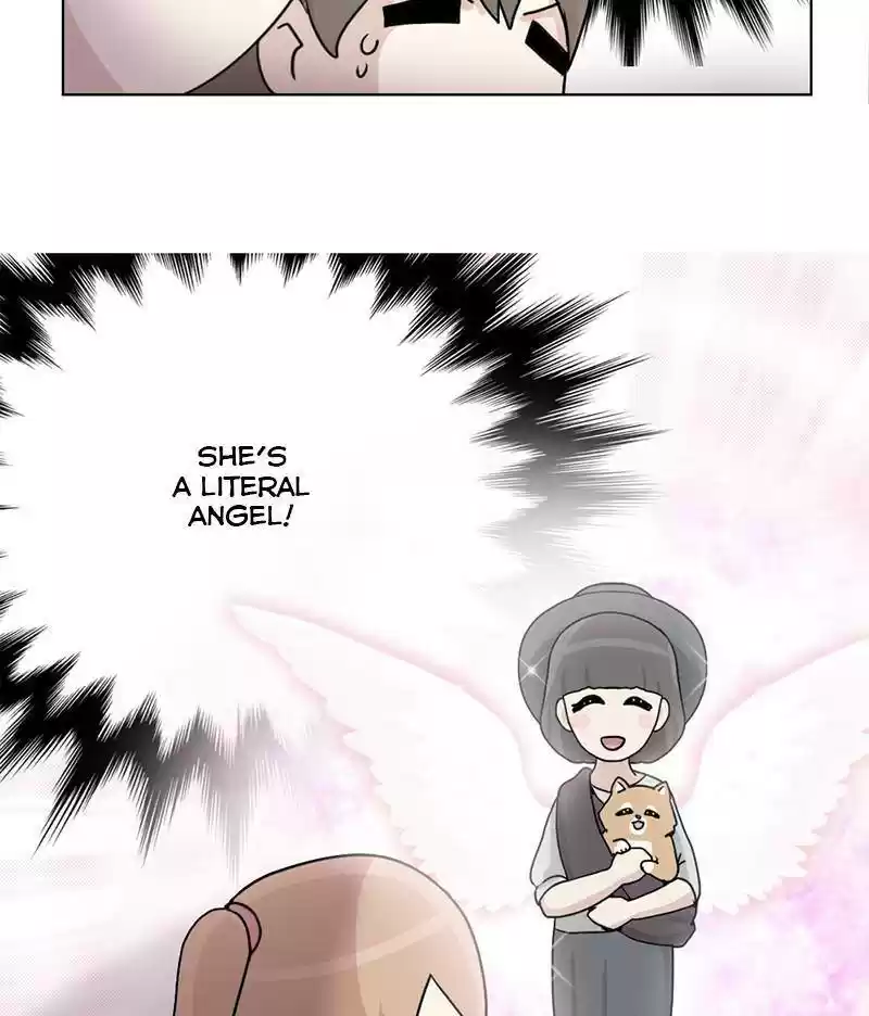 The Dog Diaries Chapter 12