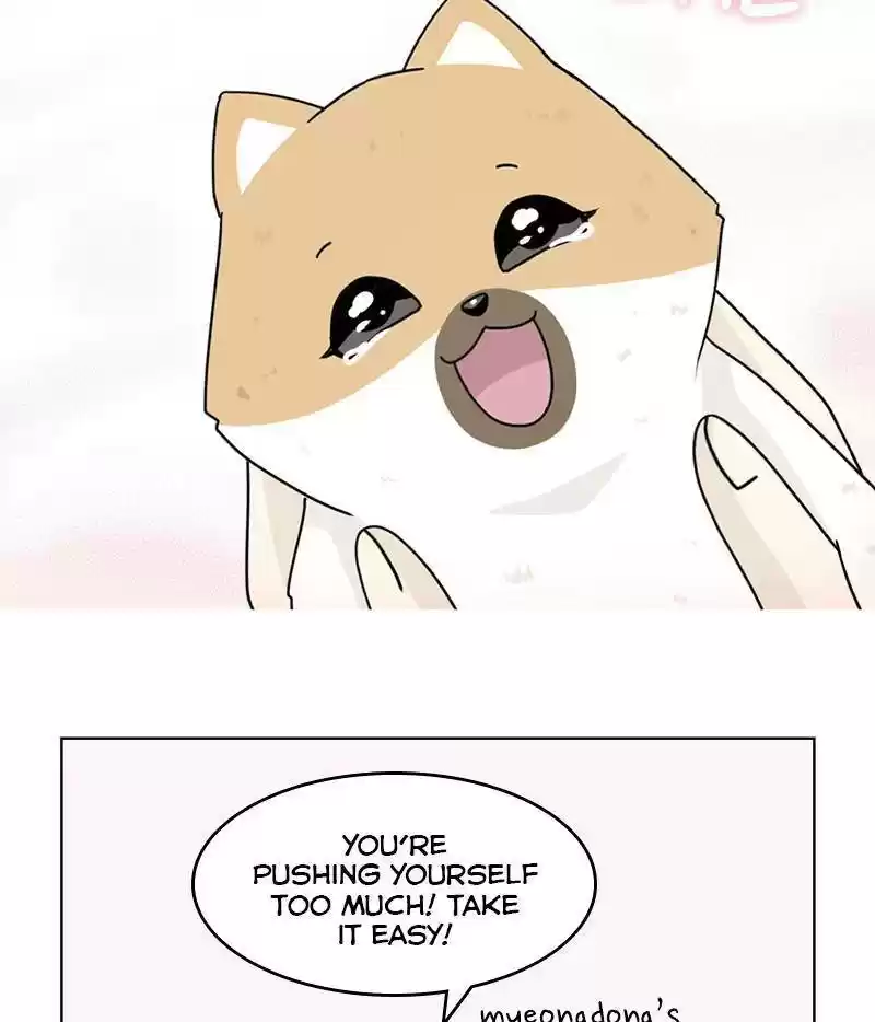 The Dog Diaries Chapter 12