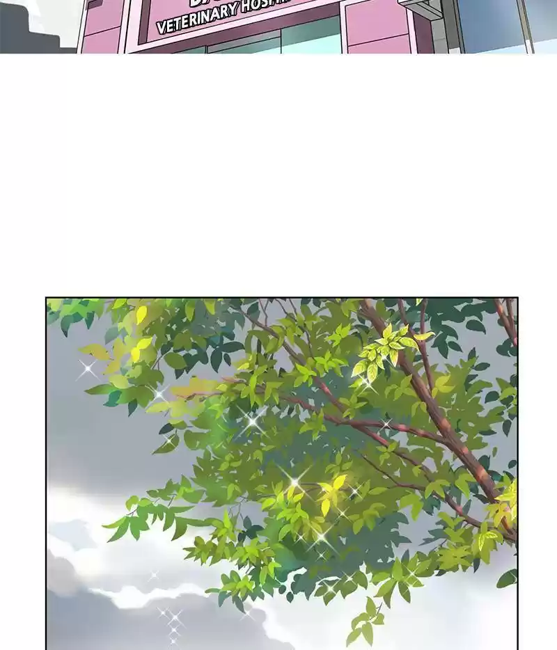 The Dog Diaries Chapter 12