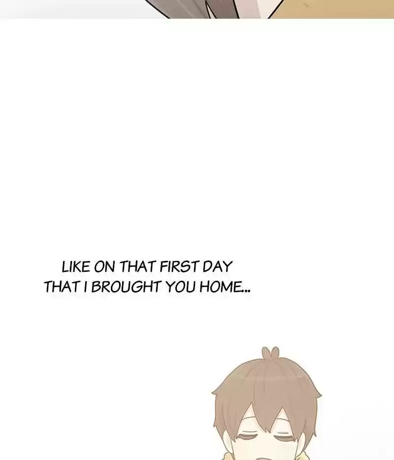 The Dog Diaries Chapter 12