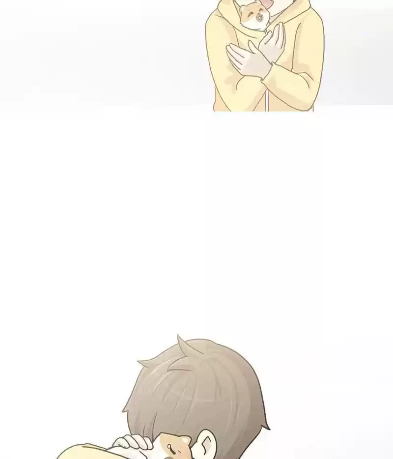 The Dog Diaries Chapter 12