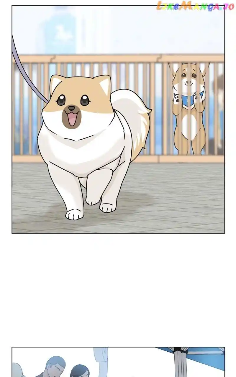 The Dog Diaries Chapter 120