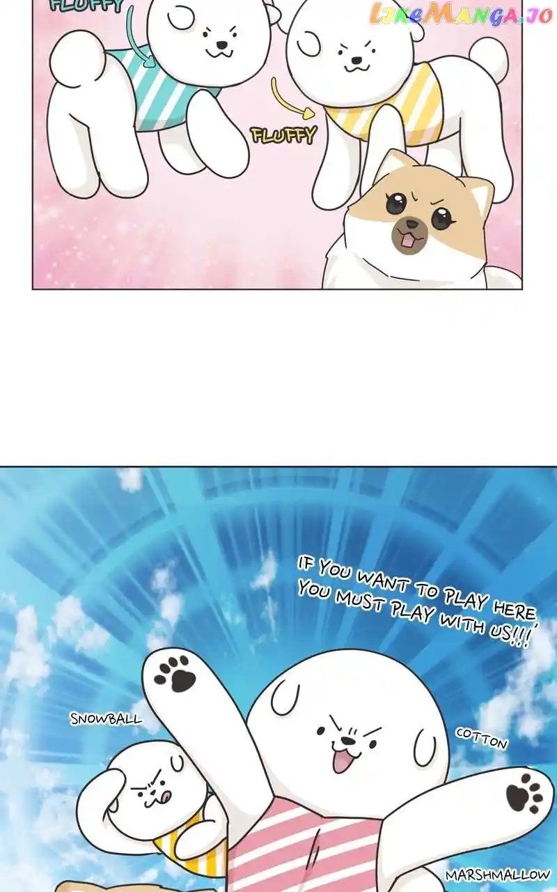 The Dog Diaries Chapter 120