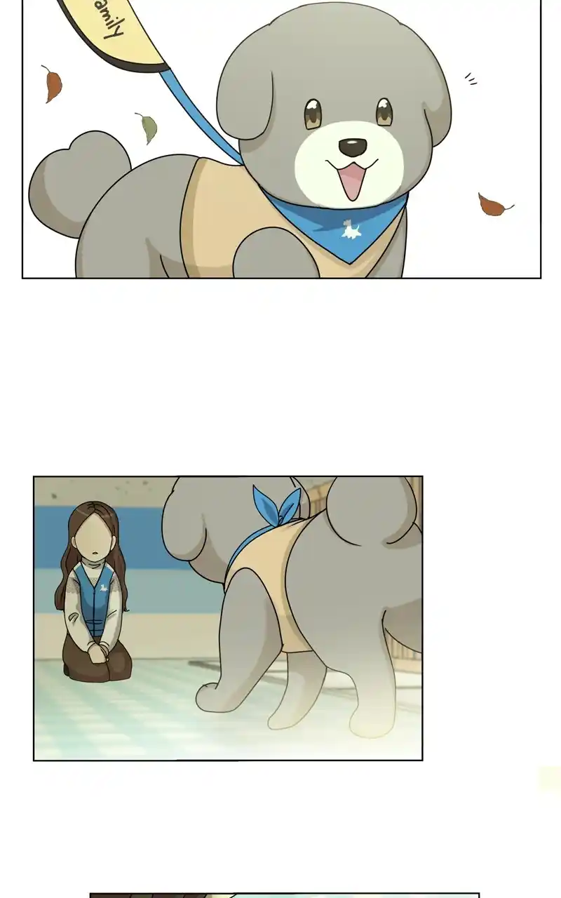 The Dog Diaries Chapter 123