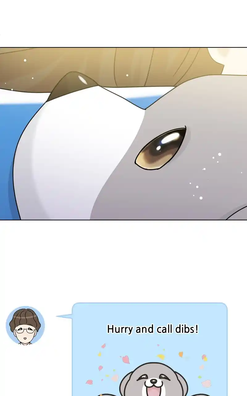 The Dog Diaries Chapter 123